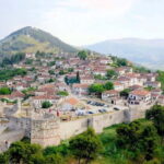 From Tirana/Durres : Berat Old City and Belshi Lake Day Trip - Transportation, Group Size, and Cost