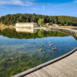 From Tirana/Durres/Golem: Vlora City and Zvernec Island Tour - The Tour’s Highlights