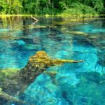 From Tirana/Durrës: Saranda, Ksamil, and Blue Eye Tour - What Travelers Say