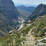 From Tirana: Hiking tour to Dajti mountain and Bovilla lake - What Makes This Tour Stand Out?