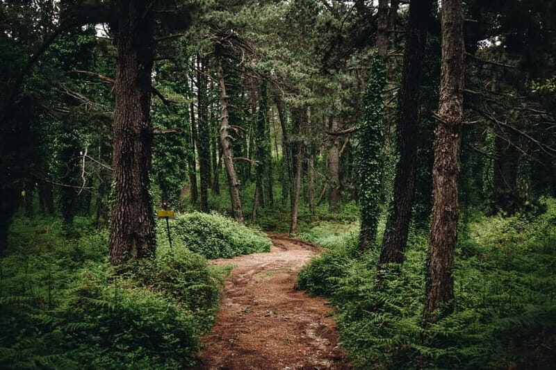 From Tivat: Vrmac Hill Scenic Hike above Boka Bay - The Experience: Why It Resonates