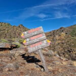 From Torre de Moncorvo: an Immersive Tour through Douro - Tasting Regional Flavors