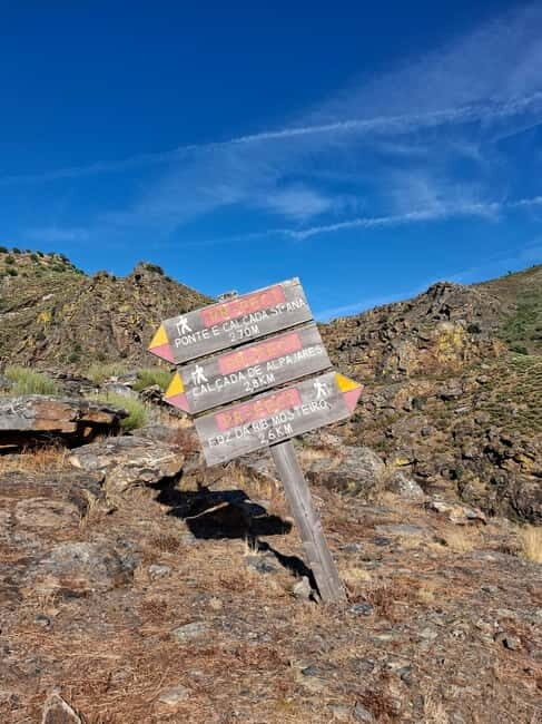 From Torre de Moncorvo: an Immersive Tour through Douro - Tasting Regional Flavors