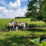 From Tours: Afternoon Loire Valley Wine Tour to Vouvray - Exploring the Loire Valley: What the Tour Offers