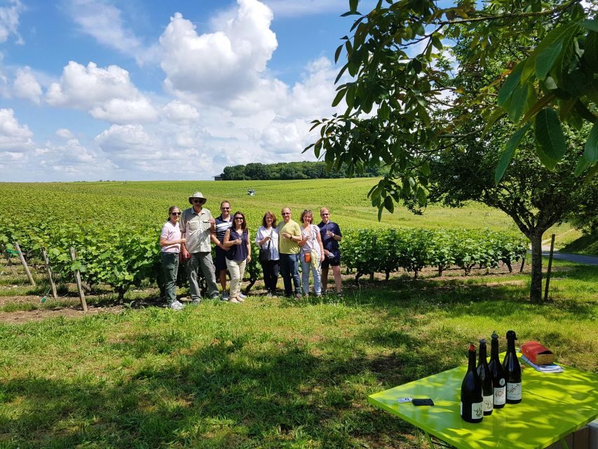 From Tours: Afternoon Loire Valley Wine Tour to Vouvray - Exploring the Loire Valley: What the Tour Offers