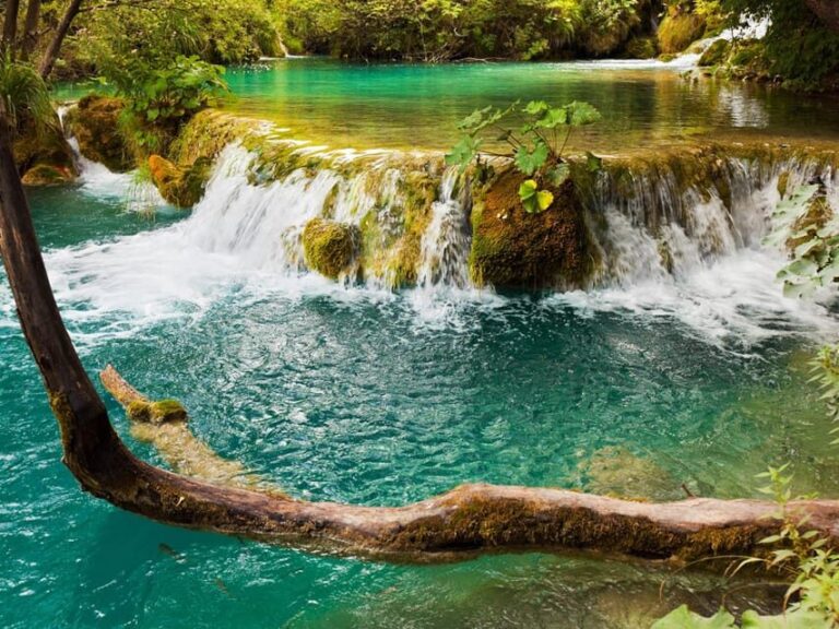 From Trogir, Seget & Okrug: Krka Waterfalls & Swimming - Who Is This Tour Perfect For?