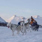 From Tromsø: Advanced Dog Sledding Daytime & Snow Park Visit - Warm Up with Sámi Hospitality