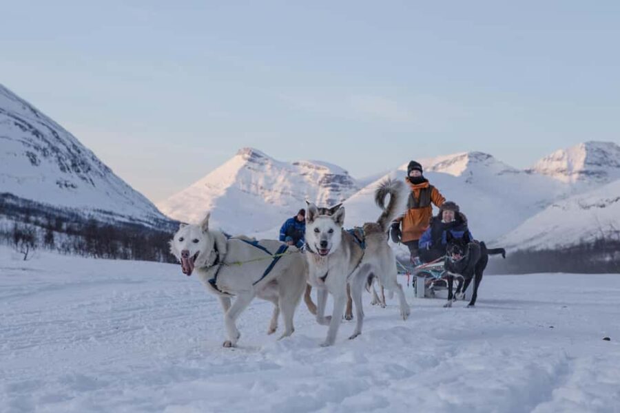 From Tromsø: Advanced Dog Sledding Daytime & Snow Park Visit - Warm Up with Sámi Hospitality