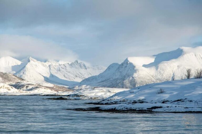 From Tromsø: Arctic Roadtrip Small Group 4x4 Van - Itinerary Breakdown: What You Can Expect