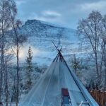 From Tromso: Arctic Wilderness Snowmobile Daytime Tour - Key Points