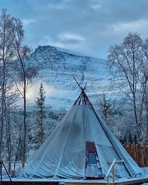 From Tromso: Arctic Wilderness Snowmobile Daytime Tour - Key Points