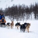 From Tromsø: Dog Sledding Adventure in Tamokdalen - Key Points: