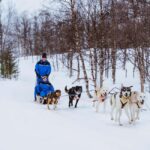 From Tromsø: Dog Sledding Experience with Transfer - Final Thoughts