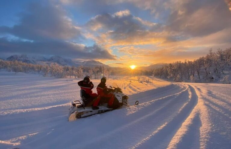 From Tromso: Eco Luxury Snowmobile Adventure to Lyngen Alps - Guides and Group Size