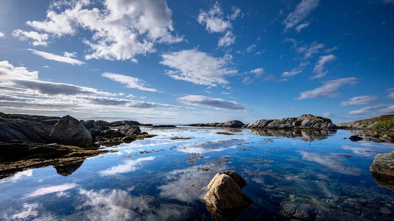 From Tromsø: Experience Vannøya Island Wild, Remote & Real - What the Reviews Say