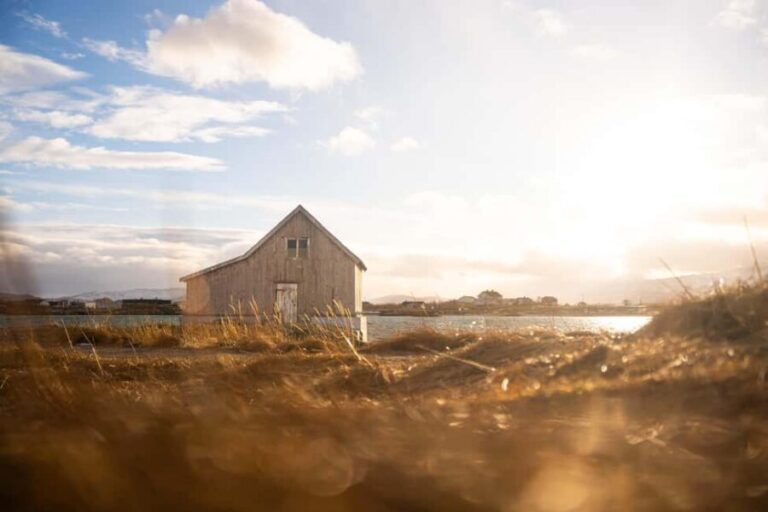 From Tromsø: Fjord Tour with Minivan - Who Is This Tour Best For?