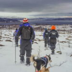 From Tromsø: Guided Husky Snowshoe Hike and Husky Camp Visit - The Value of This Experience