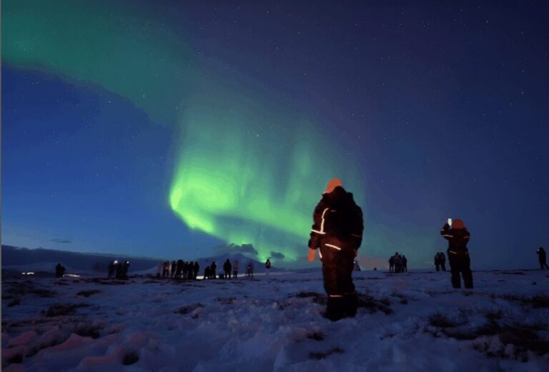 From Tromsø: Northern Lights Tour in Minibus with Photos - Is It Worth It?