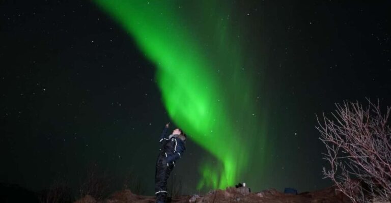 From Tromsø: Northern Lights Tour with Hot Drinks and Photos - The Guides and Customer Praise