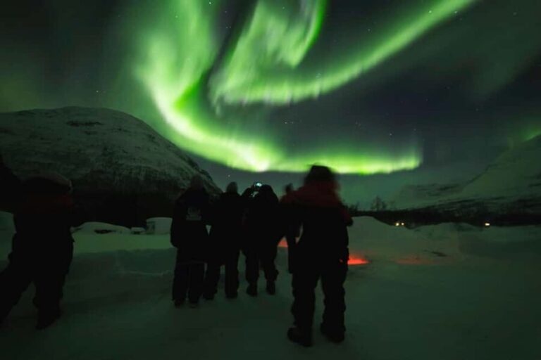 From Tromsø: Northern Lights Visit at Camp Tamok - The Experience in Context