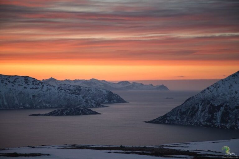 From Tromso: Norwegian Fjords Half-Day Tour - The Guide & Group Experience