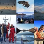 From Tromso: Polar Fishing Adventure - Potential Downsides