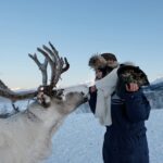 From Tromsø: Reindeer Feeding and Sami Experience with Lunch - The Itinerary Breakdown
