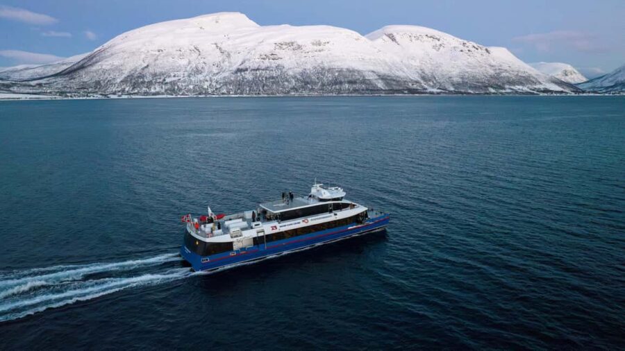 From Tromsø: Whale Watching Safari on High-Speed Catamaran - Price and Value