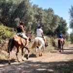 From Tropea: Horseback Riding Tour with Picnic in Francica - The Value of the Experience
