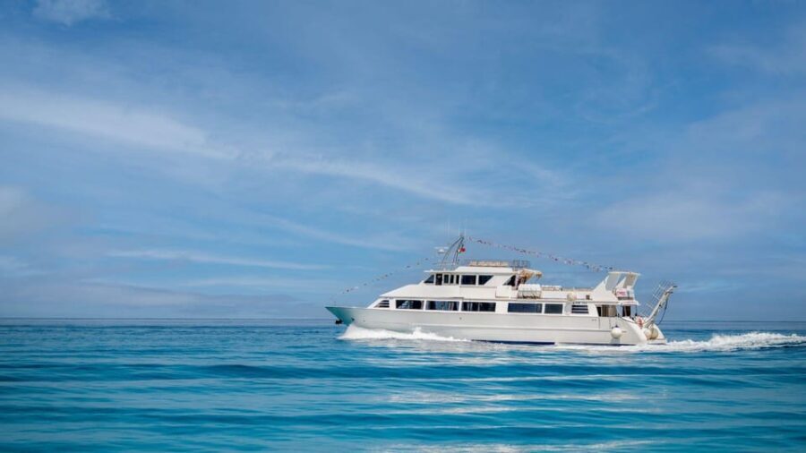 From Tropea: Lipari Panarea Stromboli Night Cruise - Frequently Asked Questions