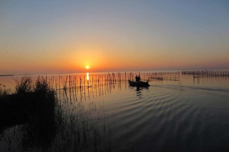 From Valencia: Albufera Boat Ride & Food (Paella) Included - What Travelers Are Saying