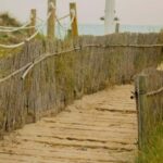 From Valencia: Albufera Natural Park Eco Boat Tour & Sunset - The Itinerary in Detail