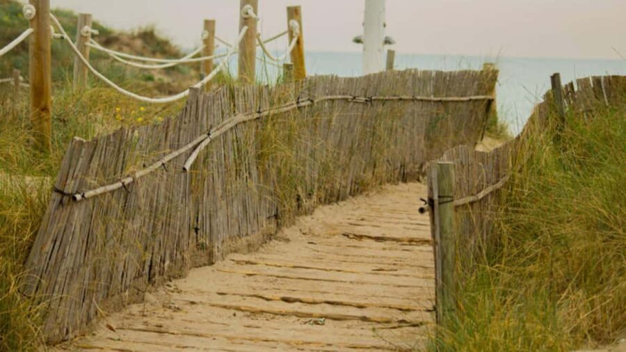 From Valencia: Albufera Natural Park Eco Boat Tour & Sunset - The Itinerary in Detail