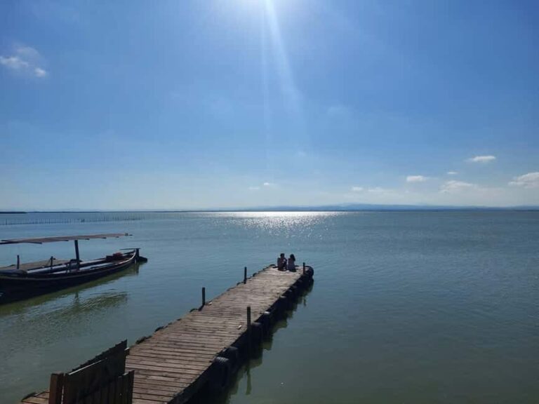 From Valencia: Albufera, Paella and Chocolate Tour - A Breakdown of the Day