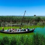From Valencia: Albufera Private Tour, Paella & Boat Ride - Who Will Enjoy This Tour?