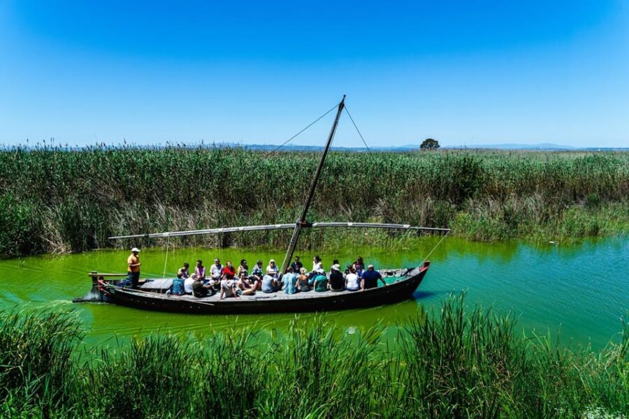 From Valencia: Albufera Private Tour, Paella & Boat Ride - Who Will Enjoy This Tour?