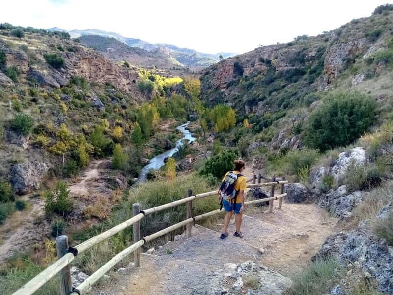From Valencia: Peña Cortada Private Hiking Day Tour - Who Is This Tour Best For?