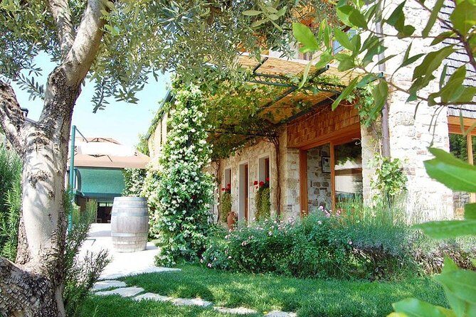 From Venice : Wine and Food tour in the Prosecco Hills - Practical Details