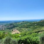 From Verona: Amarone Half-Day Wine Tasting Tour - Visiting San Giorgio di Valpolicella