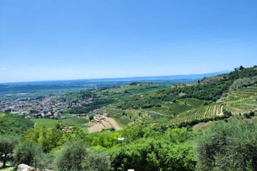 From Verona: Amarone Half-Day Wine Tasting Tour - Visiting San Giorgio di Valpolicella