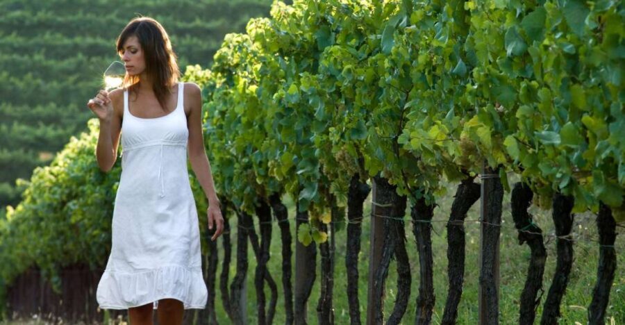 From Vienna: Half-day Countryside Wine Tour with Meal - FAQ