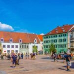 From Vienna: Private Day Tour of Devin Castle & Bratislava - Who Is This Tour Best Suited For?