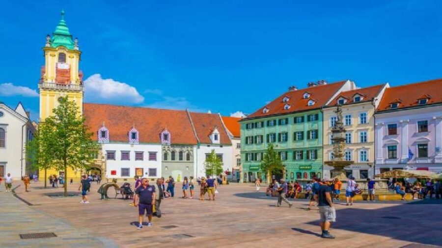 From Vienna: Private Day Tour of Devin Castle & Bratislava - Who Is This Tour Best Suited For?