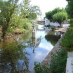 From Vilamoura: Traditional Algarve Full-Day Trip - Is It Worth the Price?