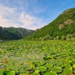 From Virpazar: Visit Karu, the hidden pearl of Lake Skadar - Who Would Love This Tour?