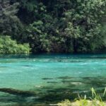 From Vlora:Tepelene Springs, Gjirokaster & Blue Eye Day Tour - What Makes This Tour Stand Out?