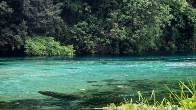 From Vlora:Tepelene Springs, Gjirokaster & Blue Eye Day Tour - What Makes This Tour Stand Out?