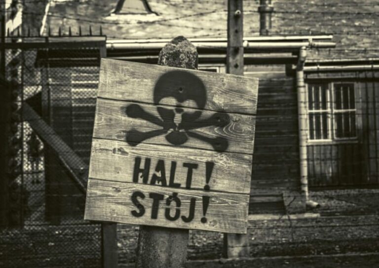 From Warsaw: Auschwitz Day Tour by Private Car with Lunch - Who Should Consider This Tour?