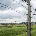 From Warsaw: Guided Tour to Auschwitz-Birkenau and Krakow - Authentic Voices from Travelers
