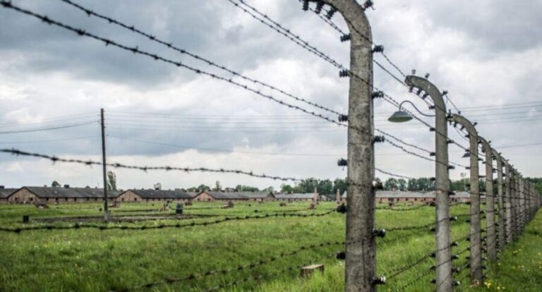 From Warsaw: Guided Tour to Auschwitz-Birkenau and Krakow - Authentic Voices from Travelers